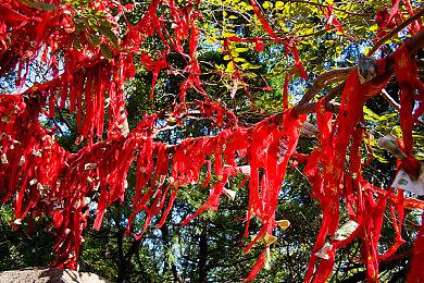 Switch 2美国直奔500美元？关税冲击下的价格大戏